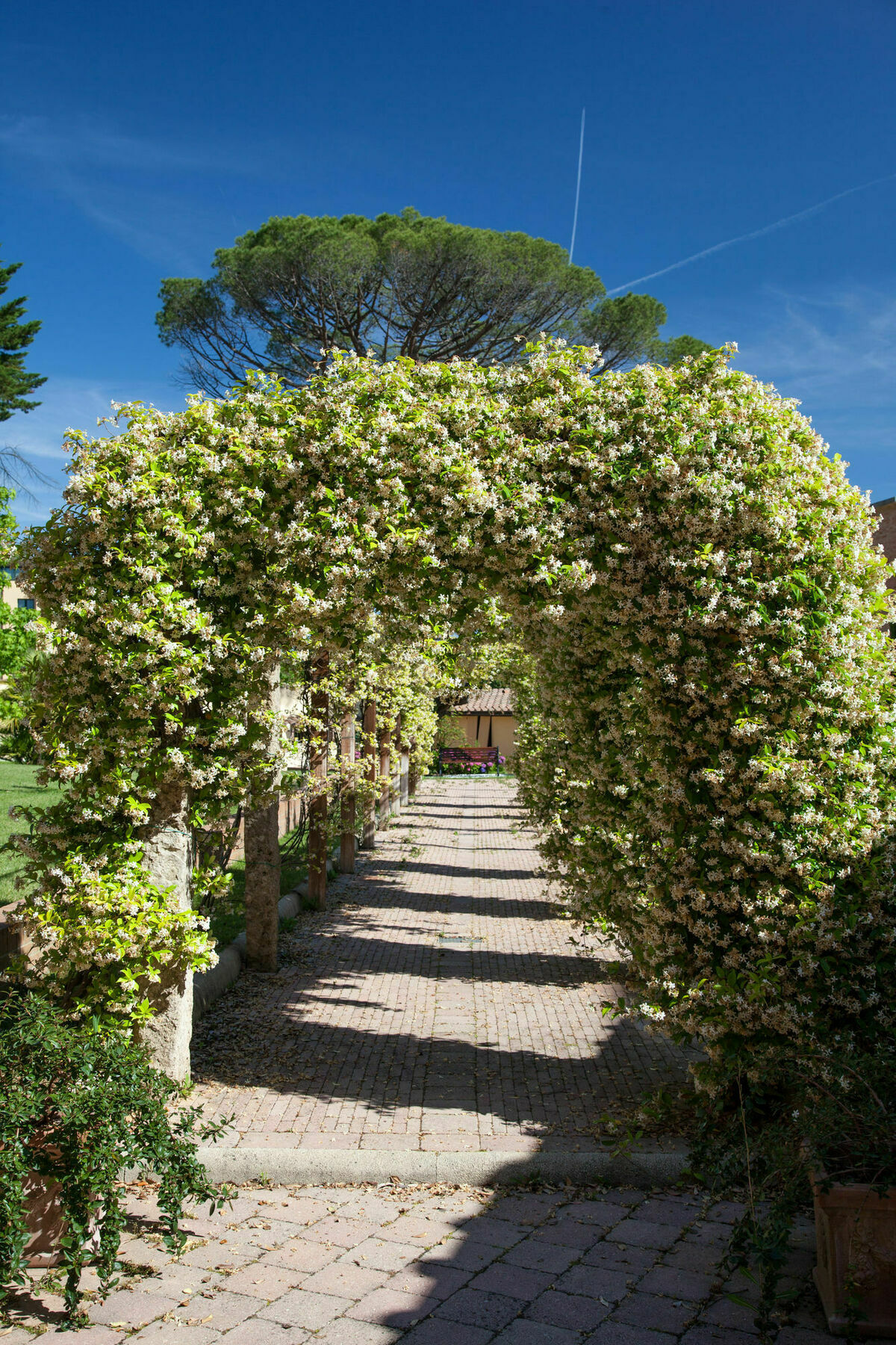 Villa Borri Casciana Terme Exteriör bild